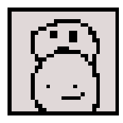 007