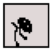 019