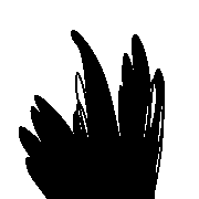004
