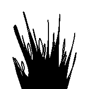 005