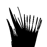 006