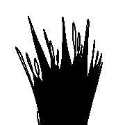 009