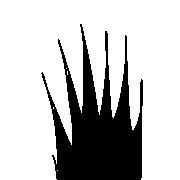 010