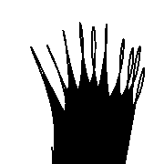 011
