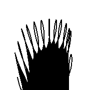 013