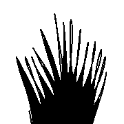 015