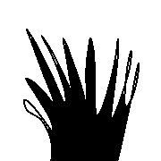 016