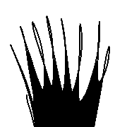 017