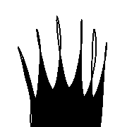021