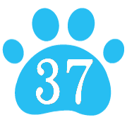 037