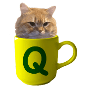 017