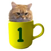 031