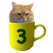 033