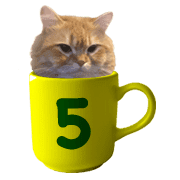 035