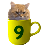 039