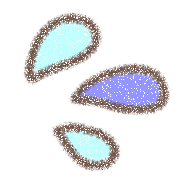 023