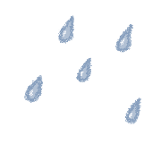 031