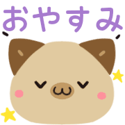 005