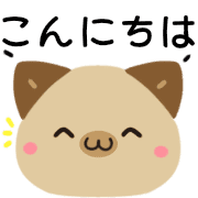 019