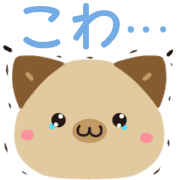 025