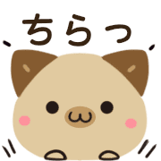 037
