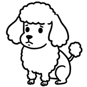 016