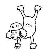 029