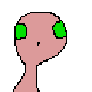 019
