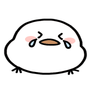 019
