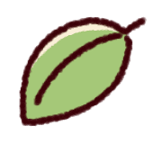 031