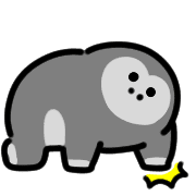 019