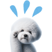 013