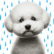 031