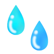 019