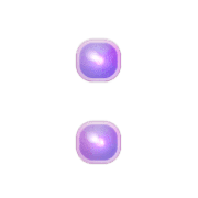244