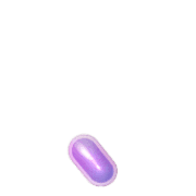 256