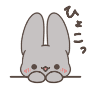 029