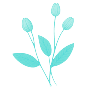 010