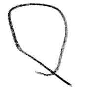 020