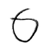 036