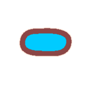 251