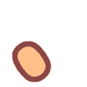 256