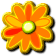 031