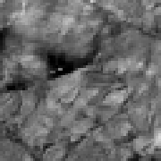 015
