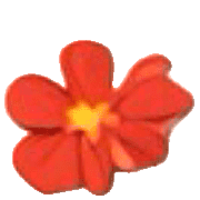 031