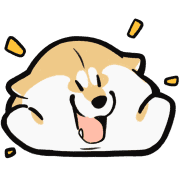 ลายที่ 11