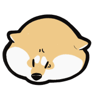 ลายที่ 55