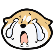 ลายที่ 65