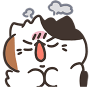 ลายที่ 17