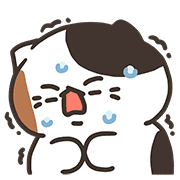 ลายที่ 43